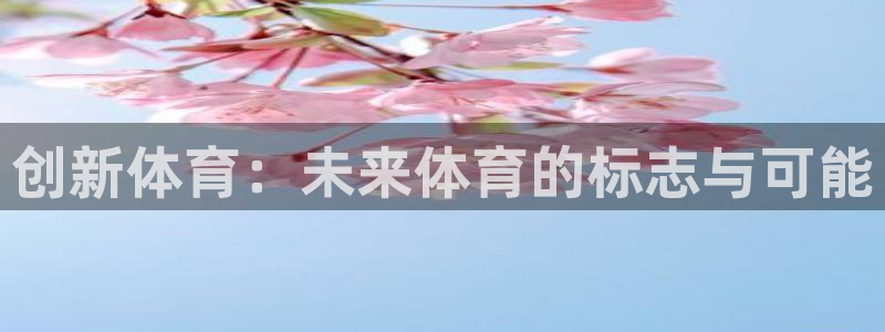 注册公海赌赌船官方正版app:创新体育:未来体育的标志与可能