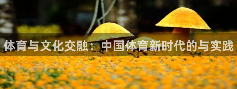 公海赌赌船官方正版app集团官网首页网址:体育与文化交融:中