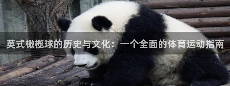 公海赌赌船官网下载平台APP:英式橄榄球的历史与文化:一个全